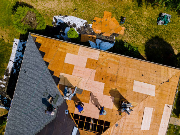 Best Storm Damage Roof Repair  in Moss Point, MS