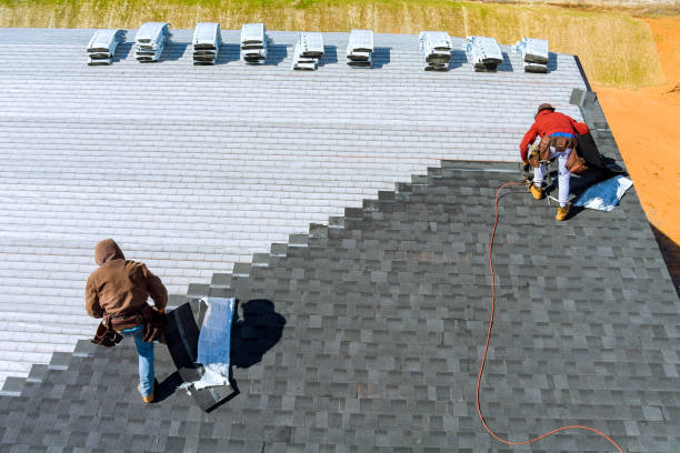 Best Metal Roofing Contractor  in Moss Point, MS