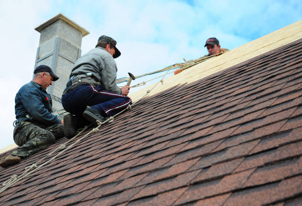 Best Roof Gutter Cleaning  in Moss Point, MS