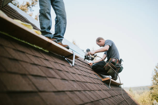 Best Roof Leak Repair  in Moss Point, MS