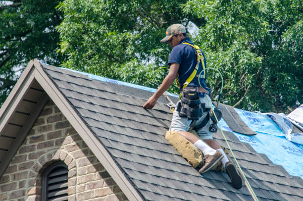 Best Roof Maintenance Services  in Moss Point, MS